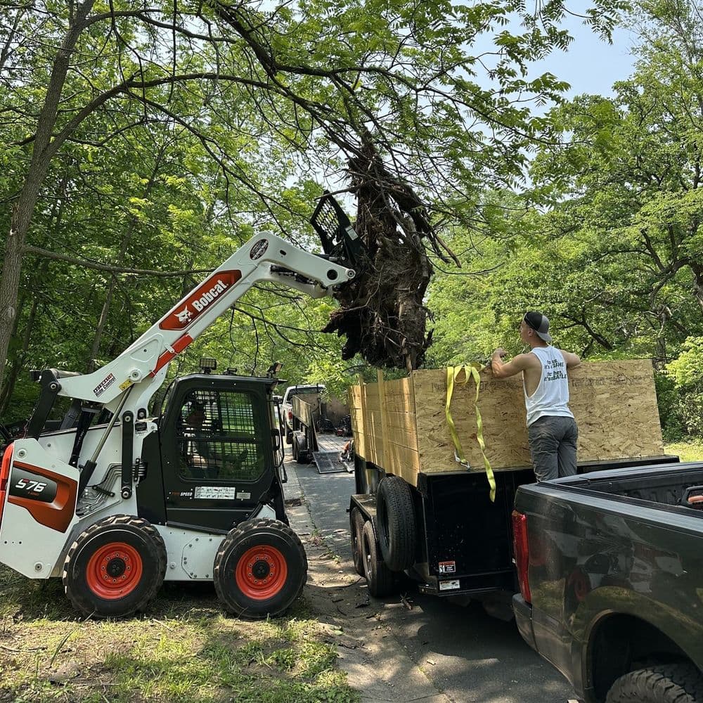 About Schoony's Lawn Care